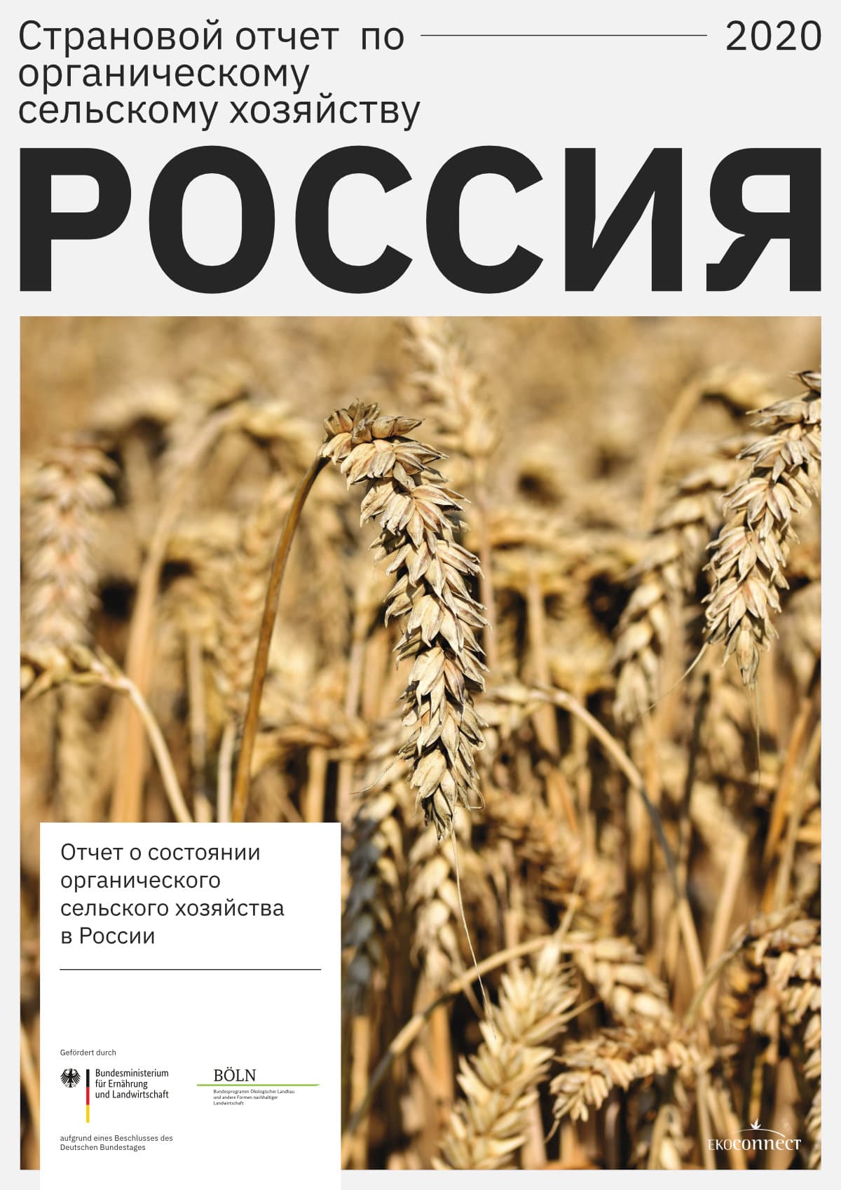whateverworks-Страновой-отчет-по-органическому-сельскому-хозяйству-Россия-EkoConnect-2020
